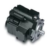 PAKER PV023 R1K1T1NMMC Piston Pump